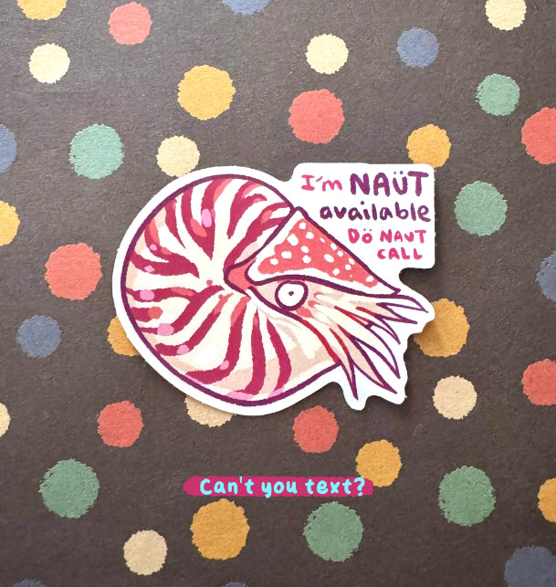 Silly Sea Creatures