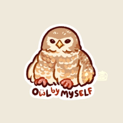 Owl Alone