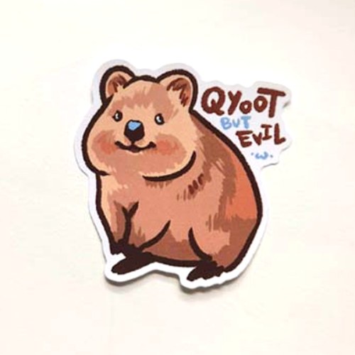 Qyoot Quokka