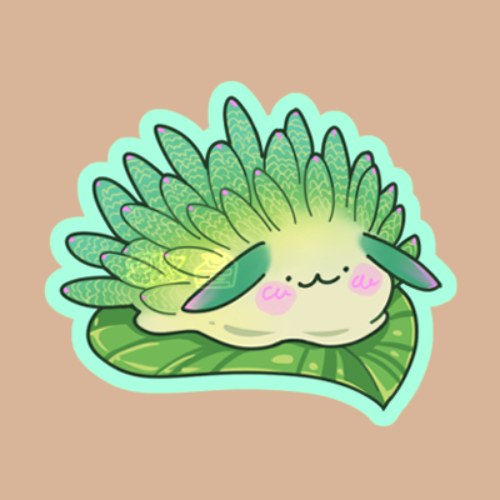 Aloe jelly mochi