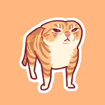 Meme Cat Stickers