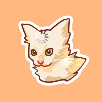 Meme Cat Stickers