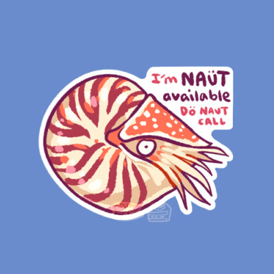 Silly Sea Creatures