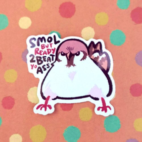 Angy Sparrow