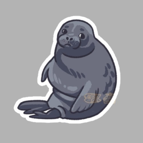 Chonky seal
